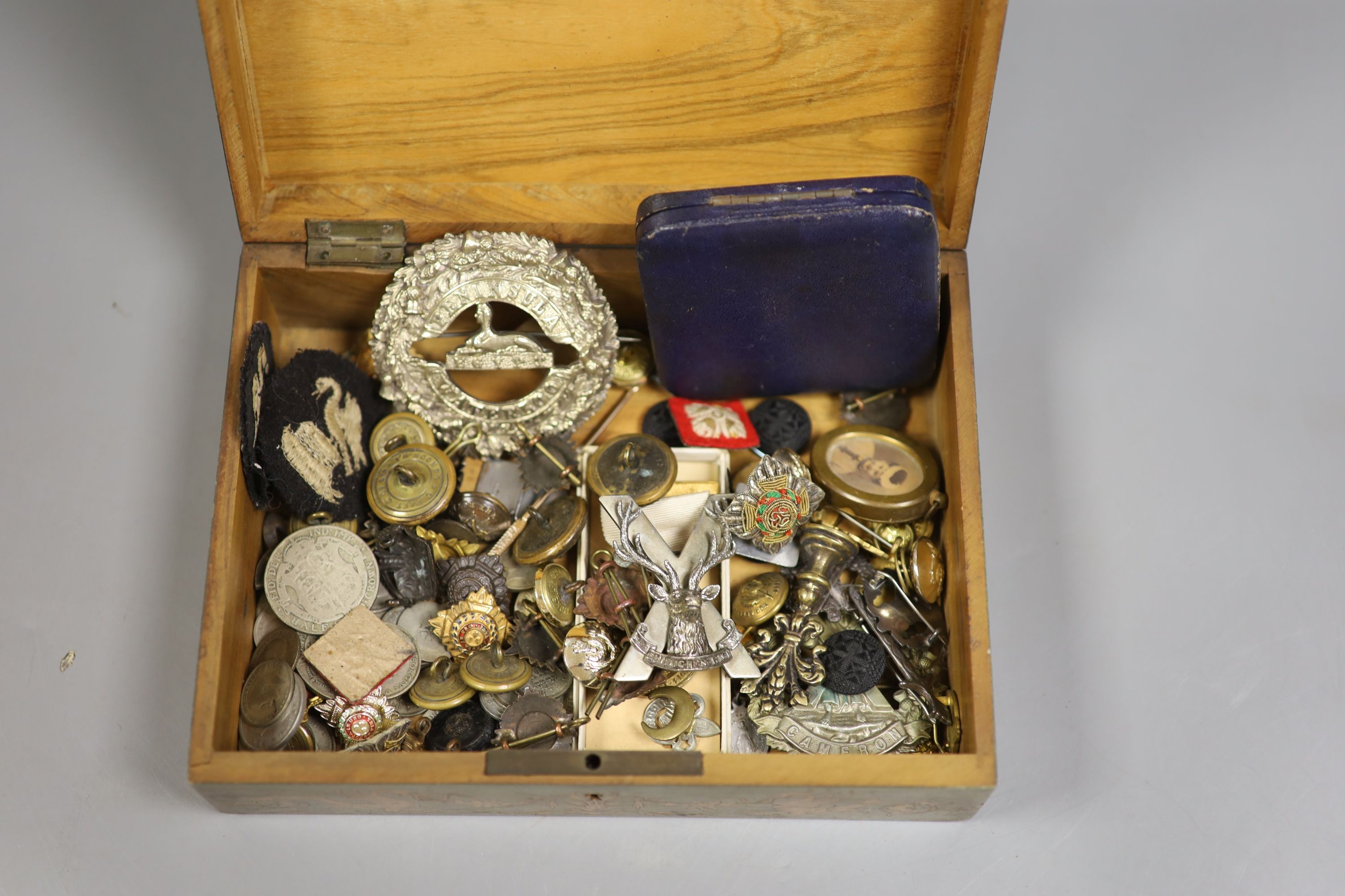 A collection of military badges and buttons, etc.